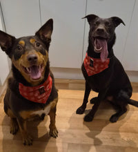 Personalised Christmas pet scarf bandana for dogs and cats by By Delilah