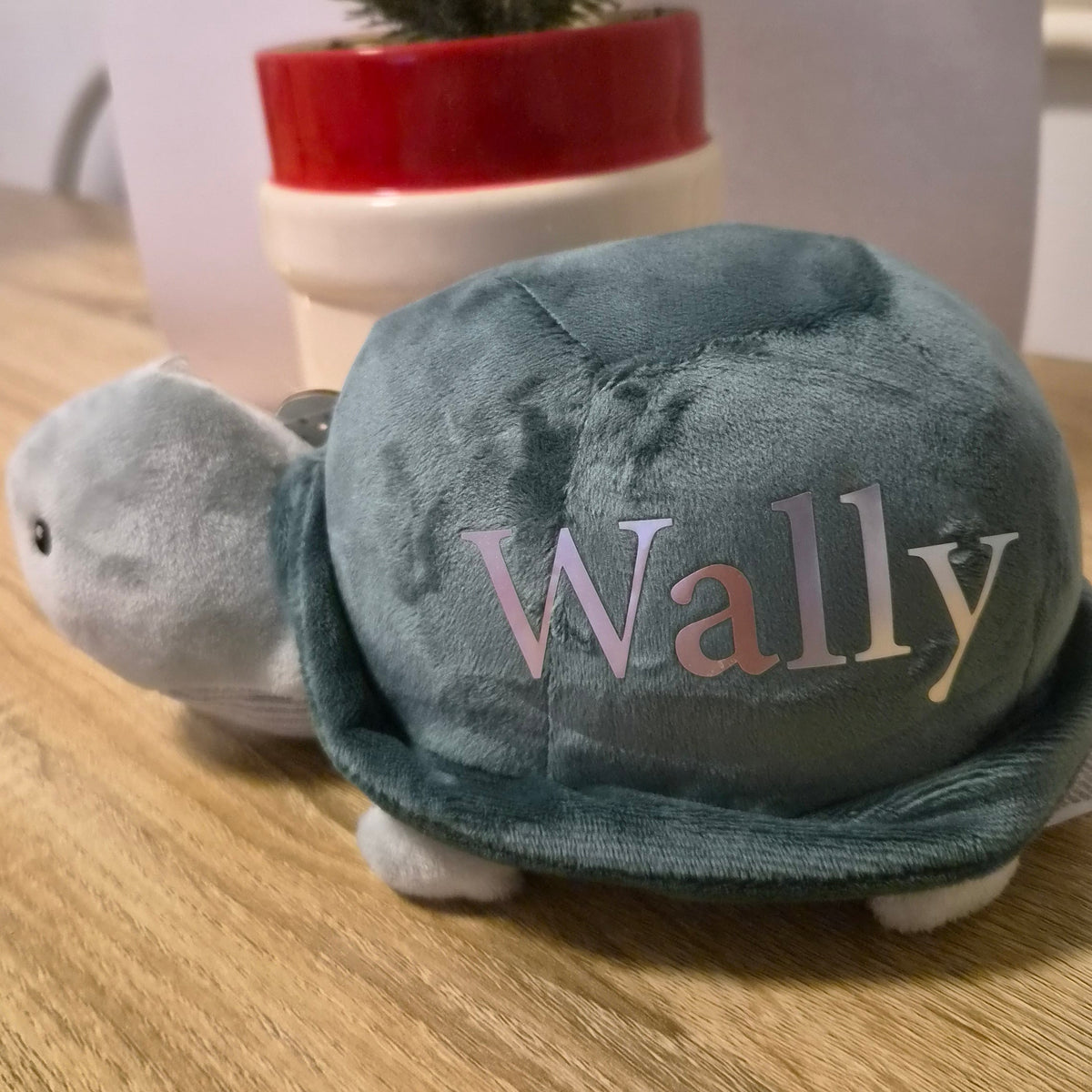 Adorable Plush Turtle Personalised