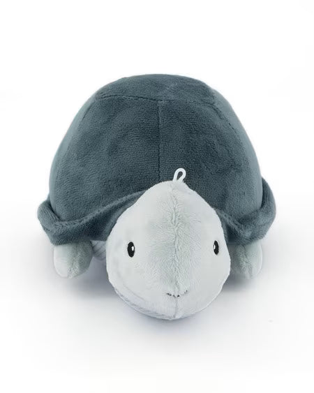 Adorable Plush Turtle Personalised